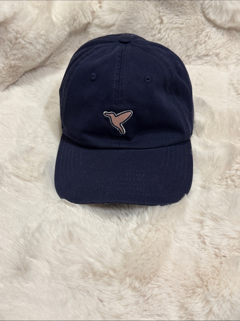 Birddogs Navy Blue Hat